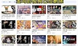 金鸣最新爆料视频,揭秘幕后真相，带你走进事件核心